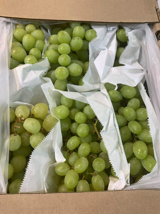 grapes