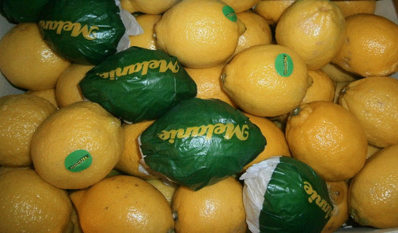 lemons