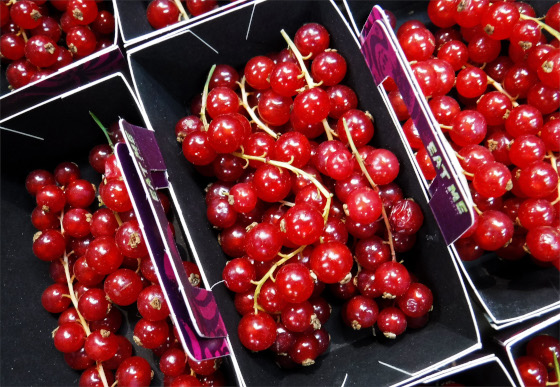 redcurrants